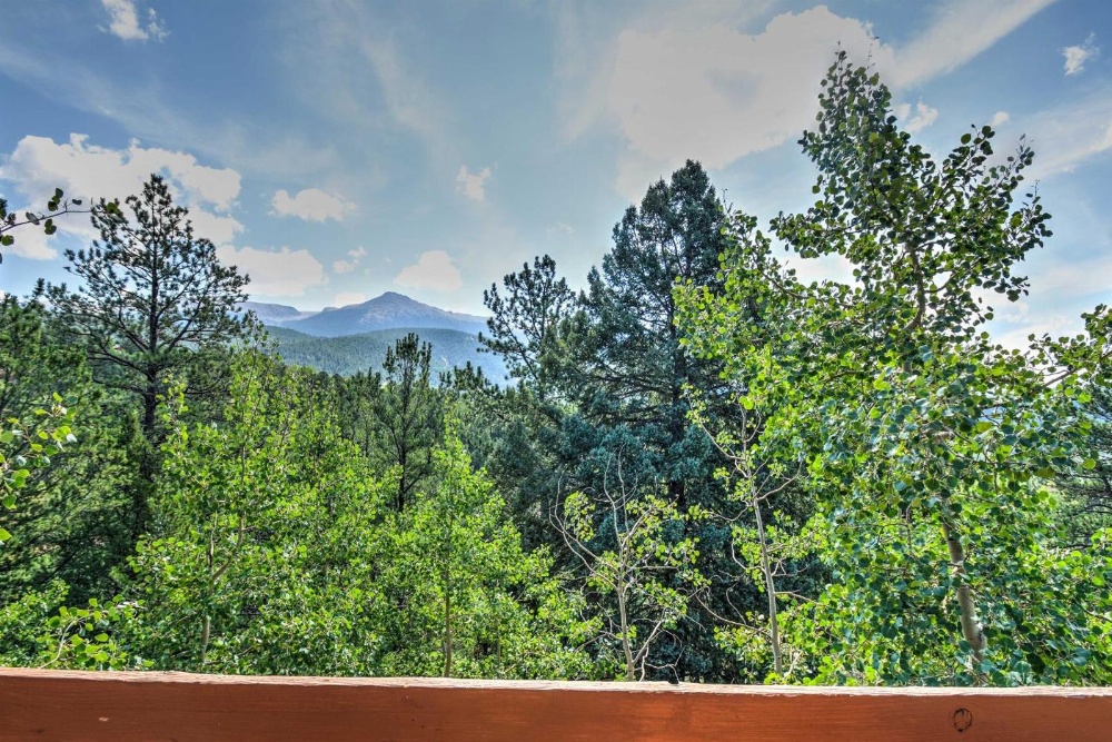 Horseshoe Lodge Divide Cabin with Furnished Deck!